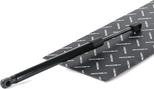 RIDEX 219G0896 Baklukedemper
