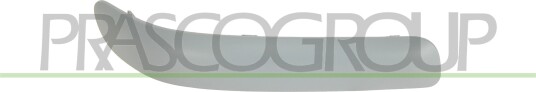PRASCO TY3241263 Pynte- / vernelist, støtfanger