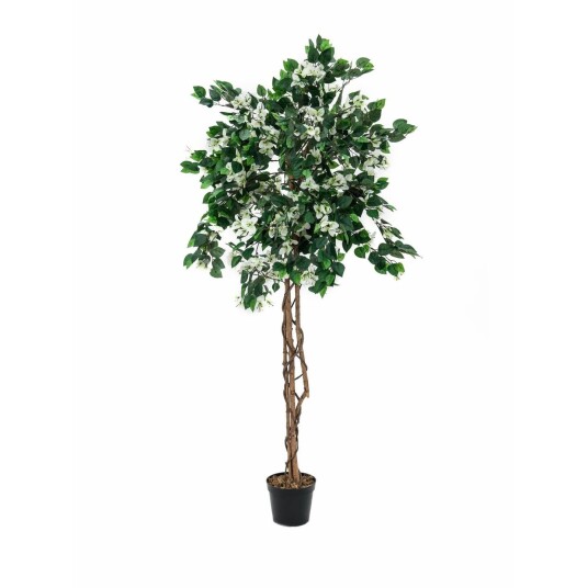 Europalms Bougainvillea, White, 180cm Europalms Bougainvillea, White, 180cm