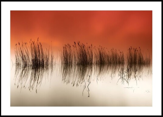 serenity Plakat / 50x70cm serenity Plakat / 50x70cm