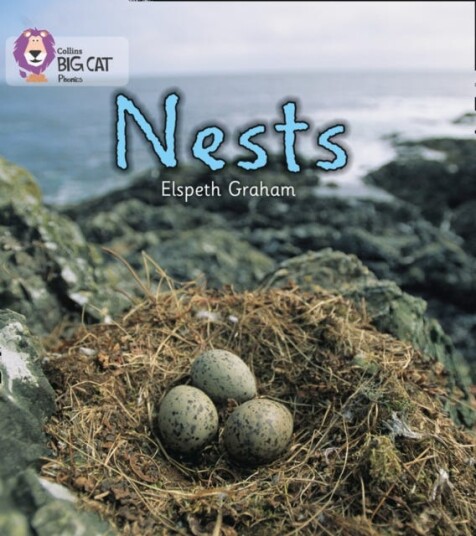 NESTS Band 02a/Red a NESTS Band 02a/Red a
