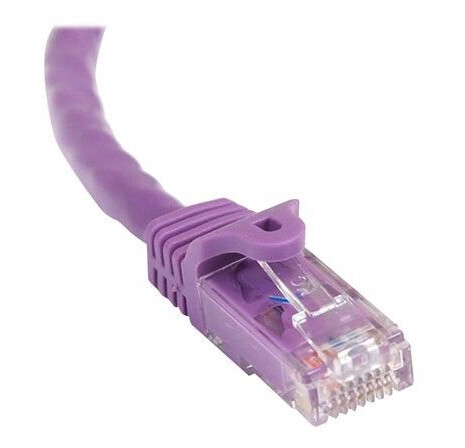 10m Purple Cat6 / Cat 6 Snagless Ethernet Patch Cable 10 m - network cable - 10 m - purple