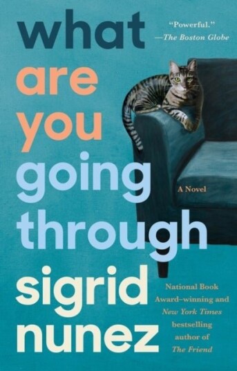 What Are You Going Through What Are You Going Through