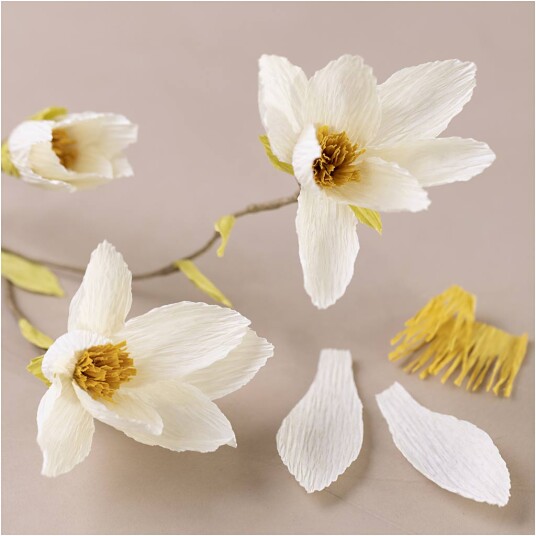 Creativ Company Kreppapir mini Magnoliagren Creativ Company Kreppapir mini Magnoliagren
