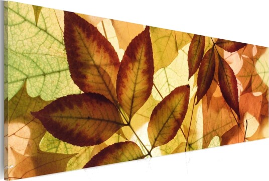 Tavla Kollage Löv 135x45 cm