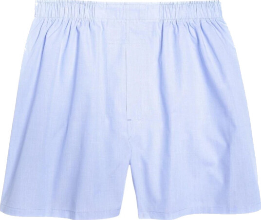 Brooks Brothers Herre Undertøy Blå W32,