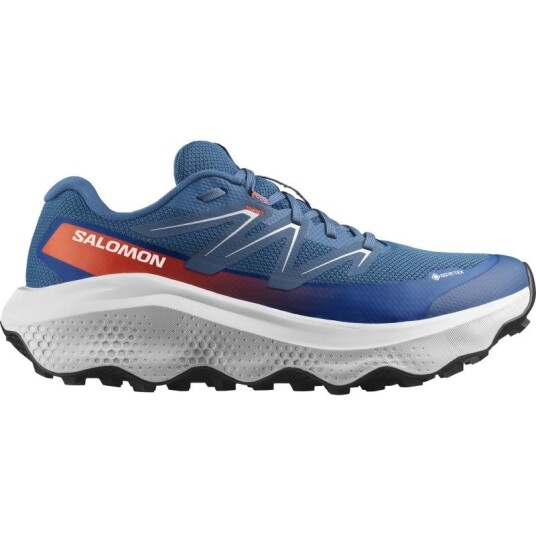 Salomon Ultra Flow 2 Gtx 43 1/3 43