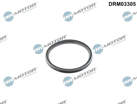 Tetningsring, laseluftslange DR.MOTOR AUTOMOTIVE DRM03305
