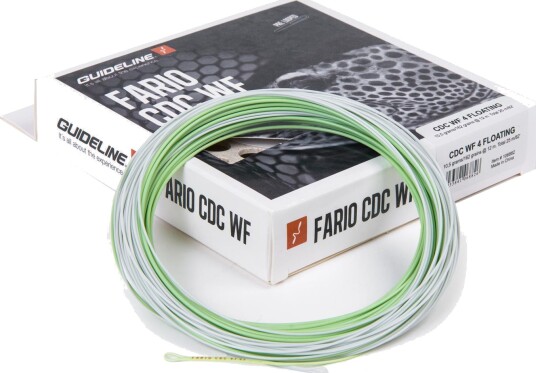 Guideline Fario Cdc Guideline Fario Cdc