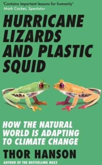 Hurricane Lizards And Plastic Squid Av Thor Hanson