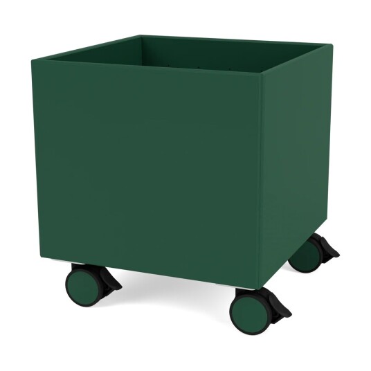 Montana Colour Box I - S6161 Pine Montana Colour Box I - S6161 Pine