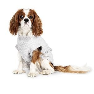 Sårbeskyttelse Body 56Cm -Hund