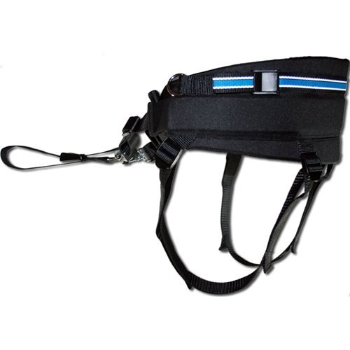 Baggen Softbelt Race Blå X1