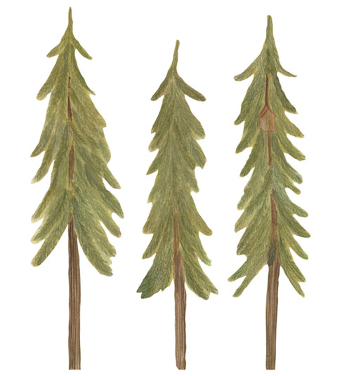 That"s Mine Green Wallsticker Pinetrees Small