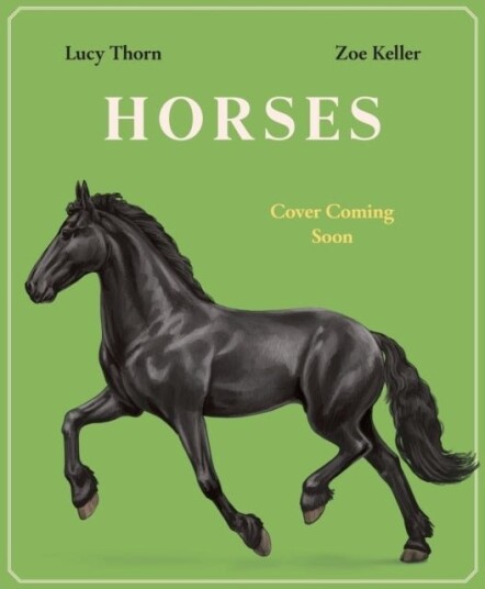 Horses Horses