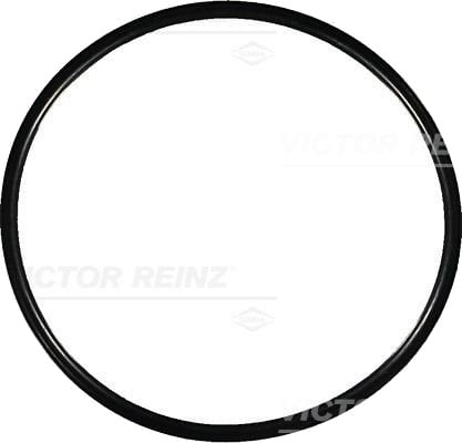 Tetningsring REINZ 40-76964-00