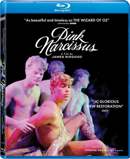 Pink Narcissus Bluray