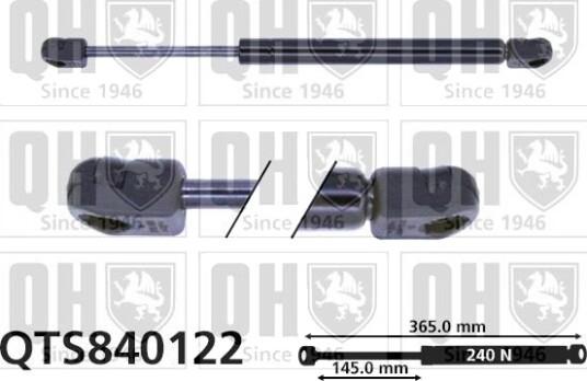 QUINTON HAZELL QTS840122 Baklukedemper