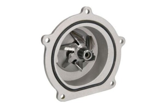 THERMOTEC D1K019TT Vannpumpe THERMOTEC D1K019TT Vannpumpe