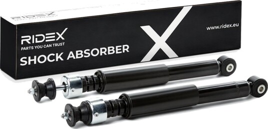RIDEX 854S20293 Støtdemper