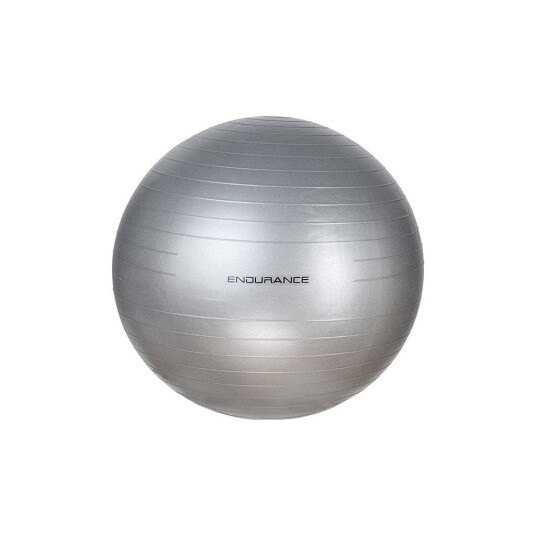 Endurance  Gym Ball 65cm incl. Pump   Silver onesize