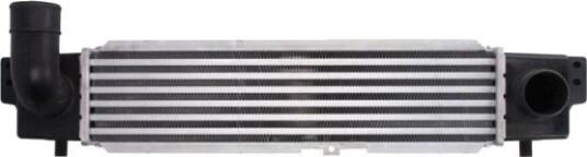 Intercooler THERMOTEC DA03001TT