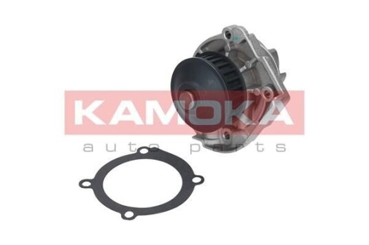 Vannpumpe KAMOKA T0118