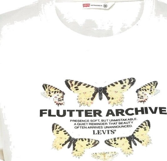 Levi"s® Gr Favorite Tee Flutter Archiv   WHITES   S