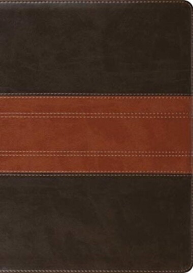 ESV Study Bible Large Print