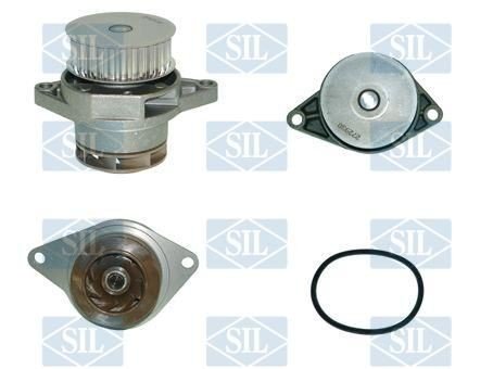 Saleri SIL PA1060 Vannpumpe Saleri SIL PA1060 Vannpumpe
