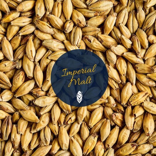 Imperial Malt 1 kg hel 45   55 EBC   Simpsons Malt