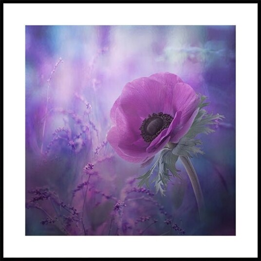 Ecstasy Poster Plakat / 40x40cm Ecstasy Poster Plakat / 40x40cm