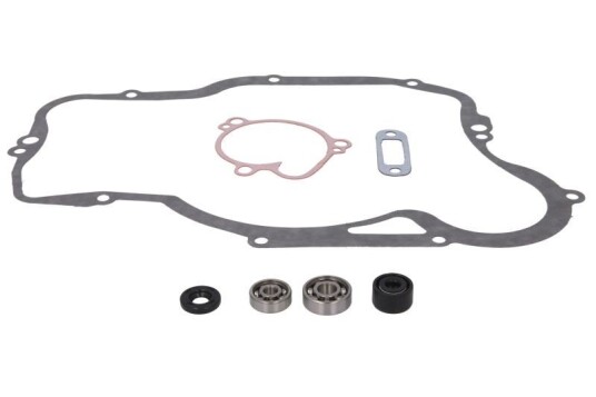 Pakning vannpumpe WINDEROSA 821478
