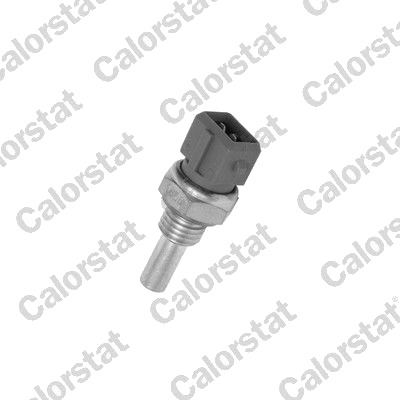 CALORSTAT by Vernet WS2587 Sensor, motortemperatur