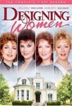 Designing Women Sesong 1 DVD Designing Women Sesong 1 DVD