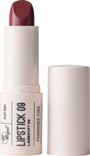 Lipstick 09 Plum Lipstick 09 Plum