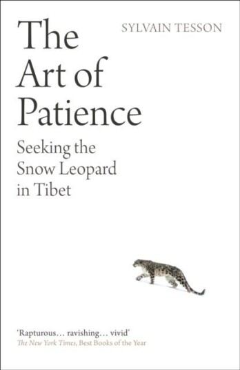 The Art of Patience