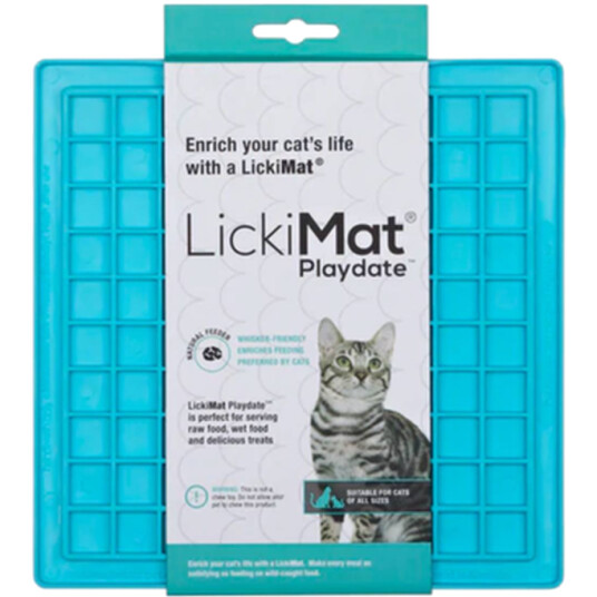 Cat Classic Playdate Blue 20 X 20 cm