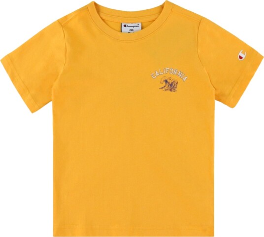 Champion Ss Tee   Orange   150 155