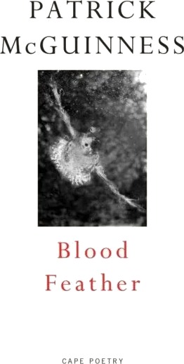 Blood Feather Av Patrick Mcguinness Blood Feather Av Patrick Mcguinness