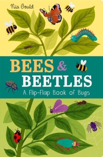 Bees & Beetles: A Flip-Flap Book of Bugs Bees & Beetles: A Flip-Flap Book of Bugs