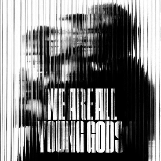 The Young Gods We Are All Young Gods Vinyl