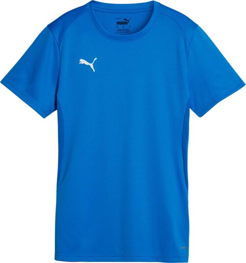 PUMA teamGOAL Trening T skjorte Dame Blå M