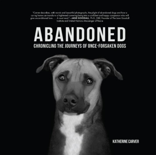 Abandoned Abandoned
