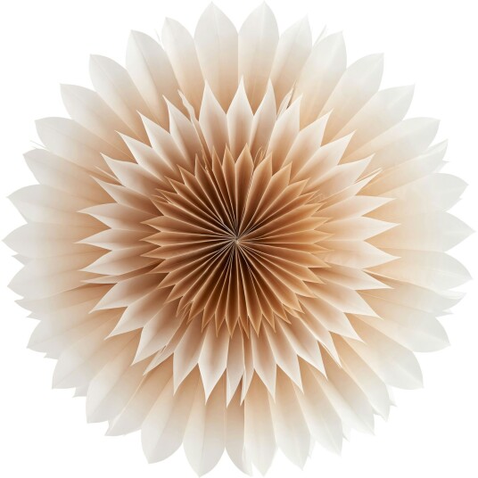 Department Lily Papirstjerne Golden Beige 56 cm Department Lily Papirstjerne Golden Beige 56 cm