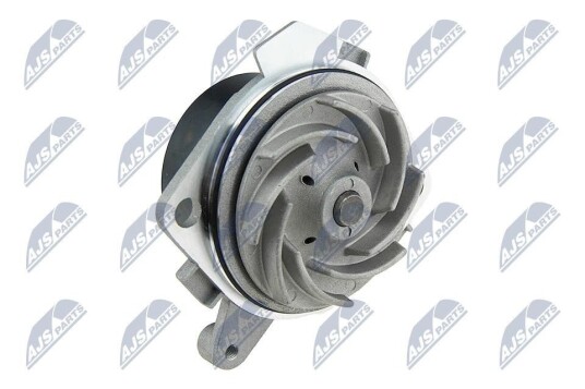 NTY CPW AR 019 Vannpumpe NTY CPW AR 019 Vannpumpe