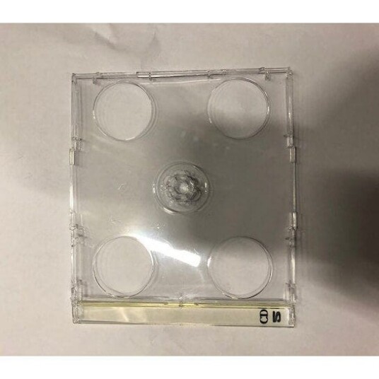 CDRekvisita Satek Smart Tray for 2CD 10stk CD