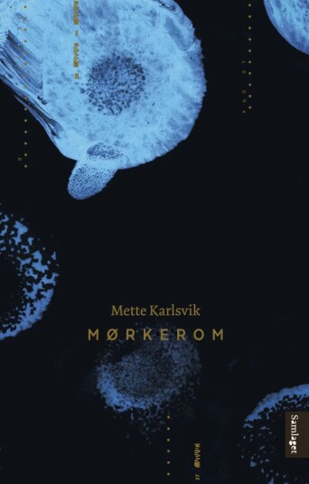 Mørkerom Av Mette Karlsvik