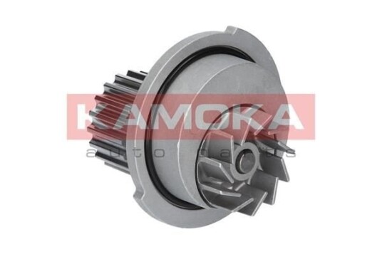 KAMOKA T0066 Vannpumpe