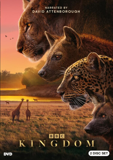 Kingdom Miniserie DVD